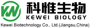廣東麗銳電子有限公司